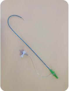 Introducer sheath (1).png