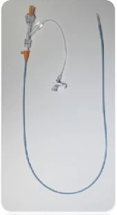 Introducer sheath.png