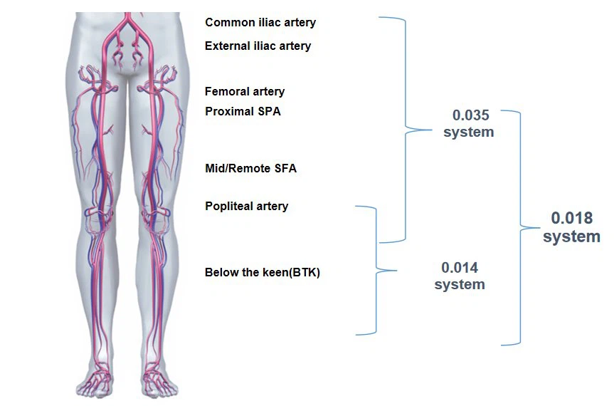 PTA Balloon Catheters