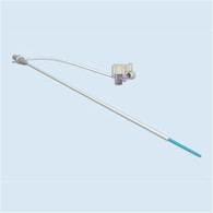 Endovascular Sheath