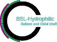 ESRD PTA Balloon Catheter