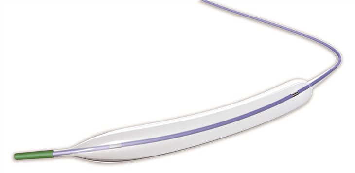 PTCA Dilation Balloon Catheter