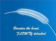 Drug Coating Coroanry Catheter